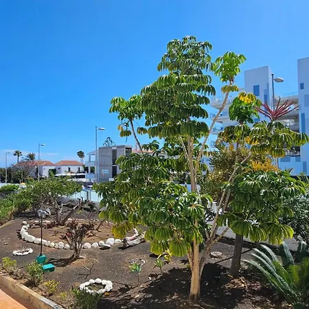 Hdfm Collection - Algas Lägenhet